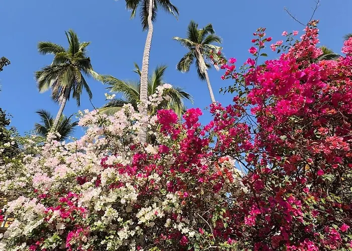 Apartamento Tres Palmas In Saladita #2 Zihuatanejo